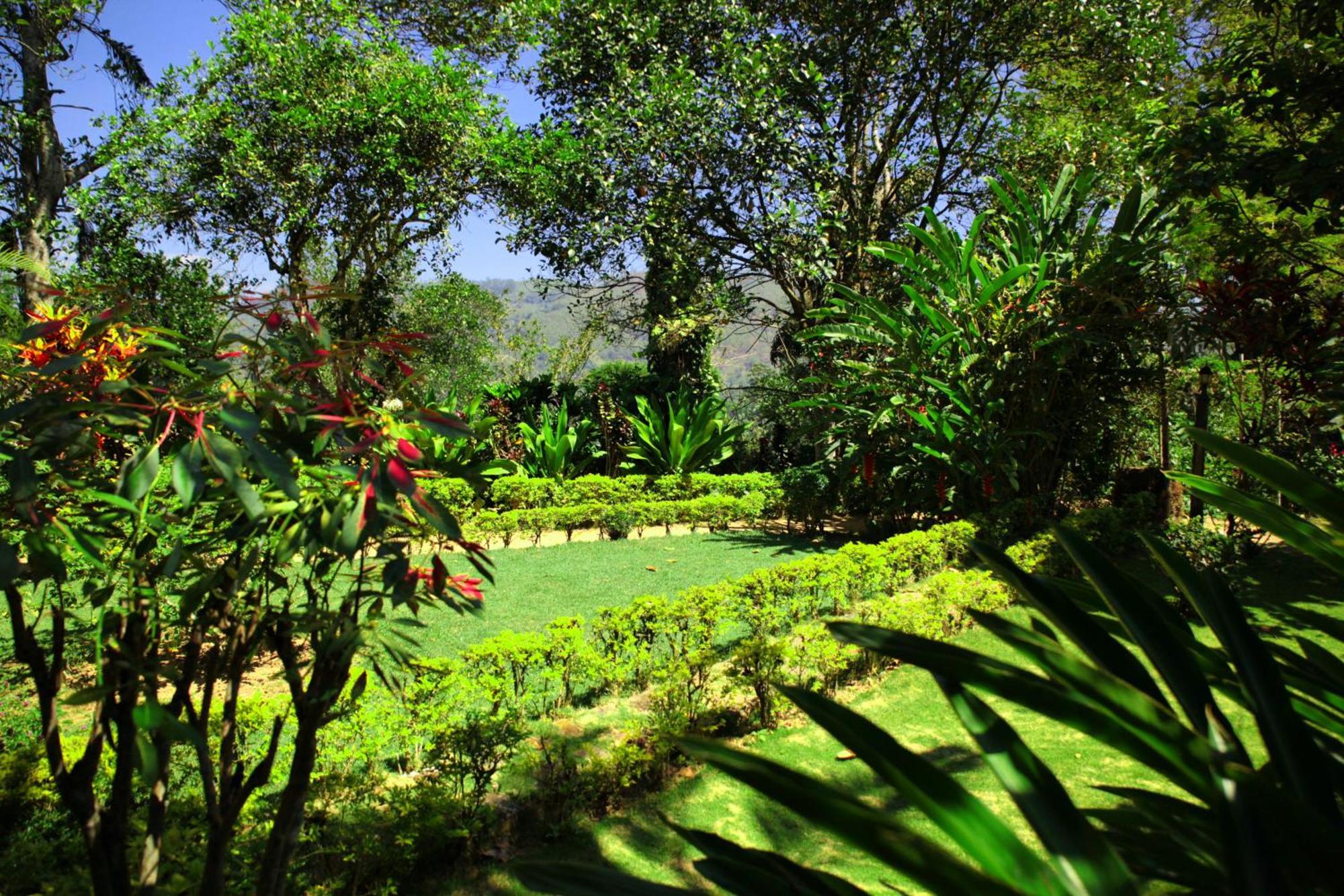 Sunnyside Holiday Bungalow إيلا المظهر الخارجي الصورة