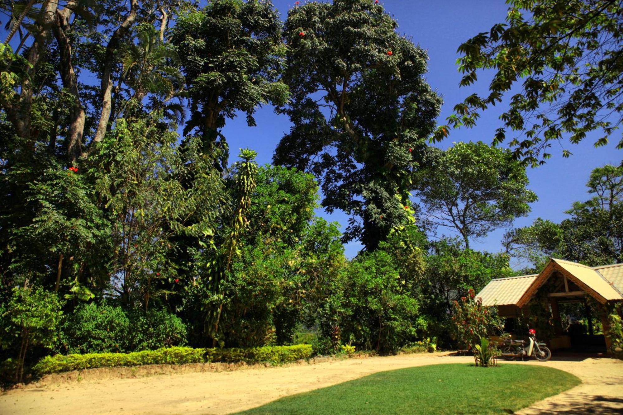 Sunnyside Holiday Bungalow إيلا المظهر الخارجي الصورة