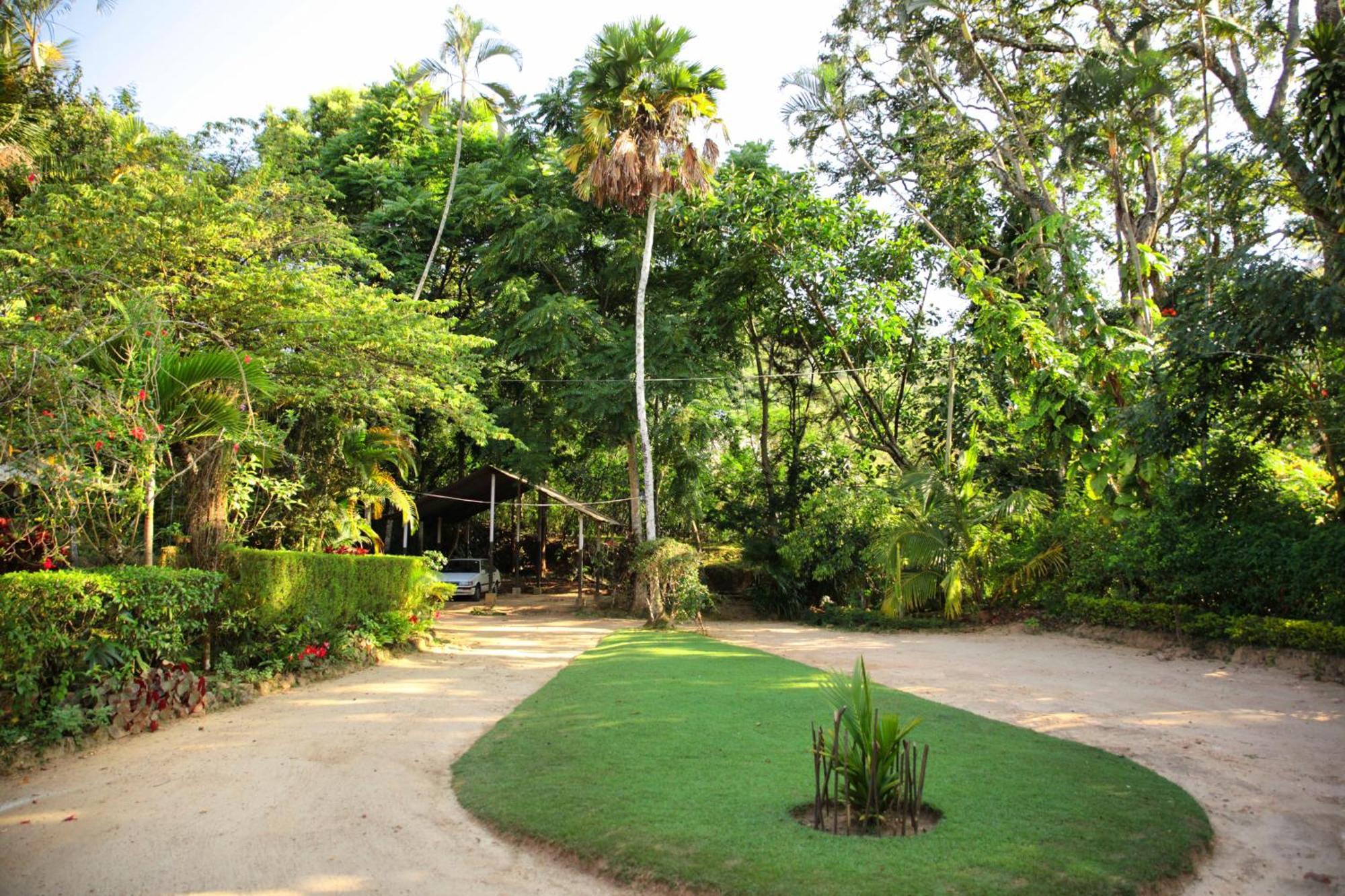 Sunnyside Holiday Bungalow إيلا المظهر الخارجي الصورة