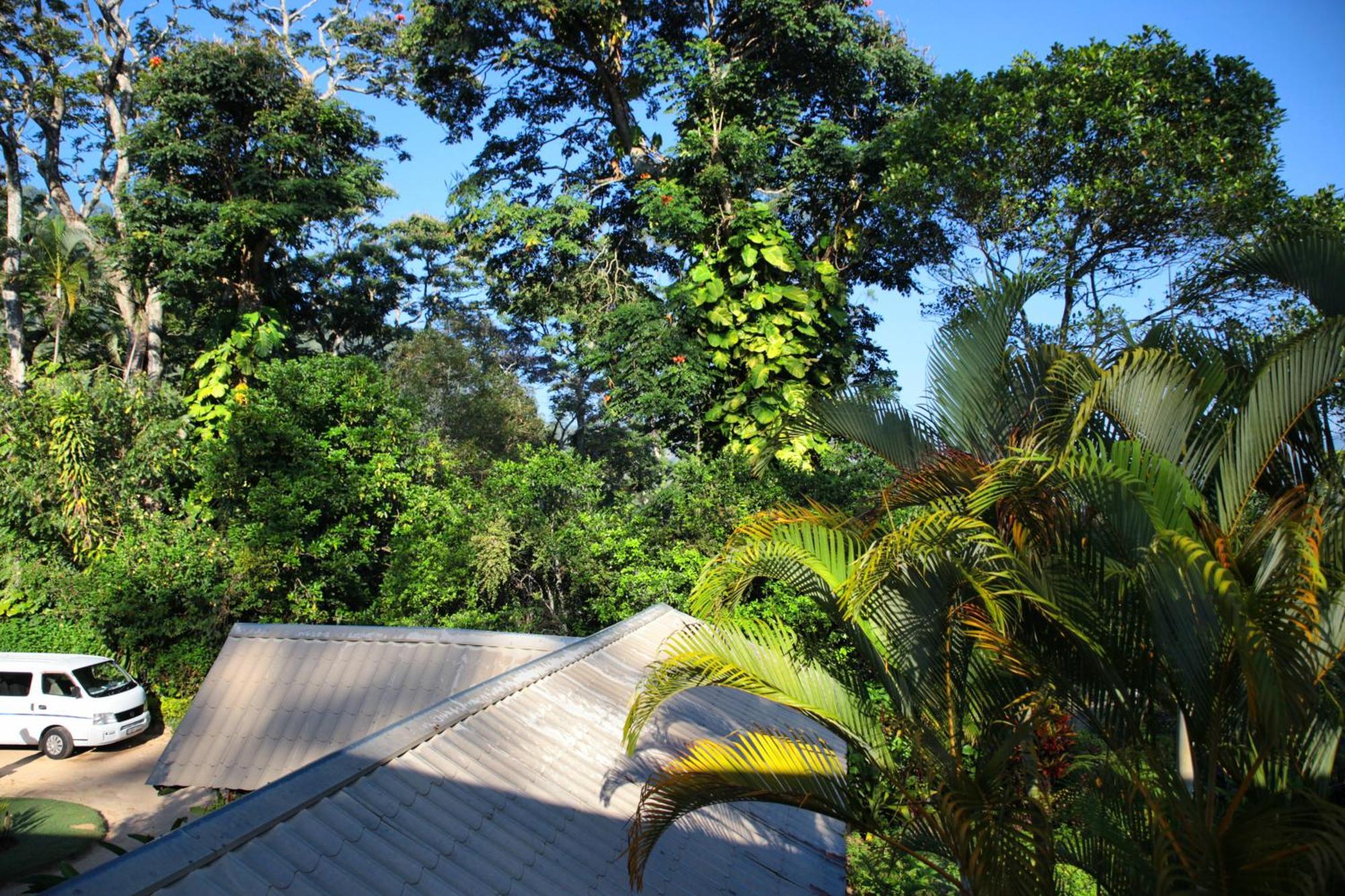 Sunnyside Holiday Bungalow إيلا المظهر الخارجي الصورة
