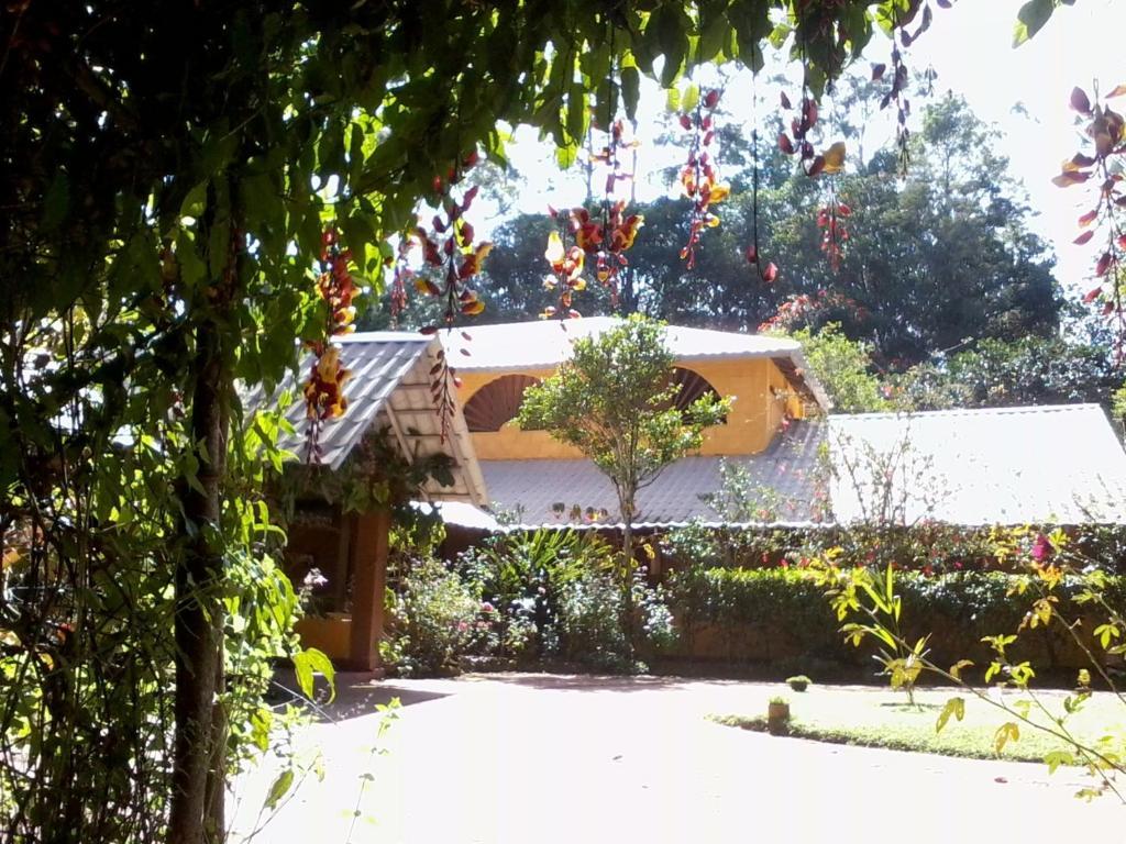 Sunnyside Holiday Bungalow إيلا المظهر الخارجي الصورة