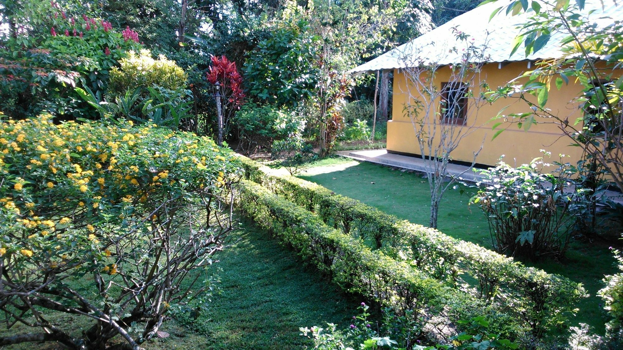 Sunnyside Holiday Bungalow إيلا المظهر الخارجي الصورة
