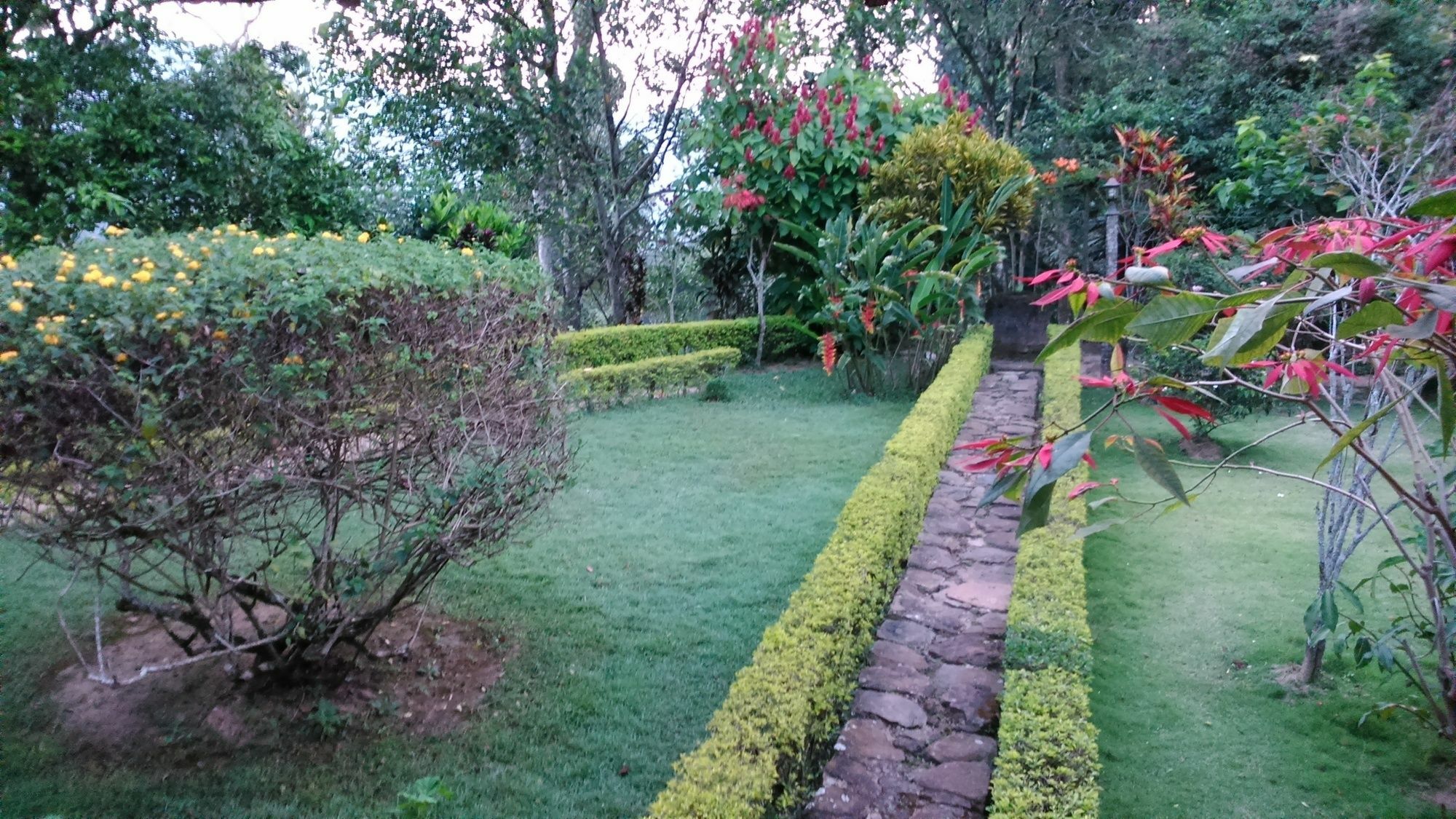 Sunnyside Holiday Bungalow إيلا المظهر الخارجي الصورة