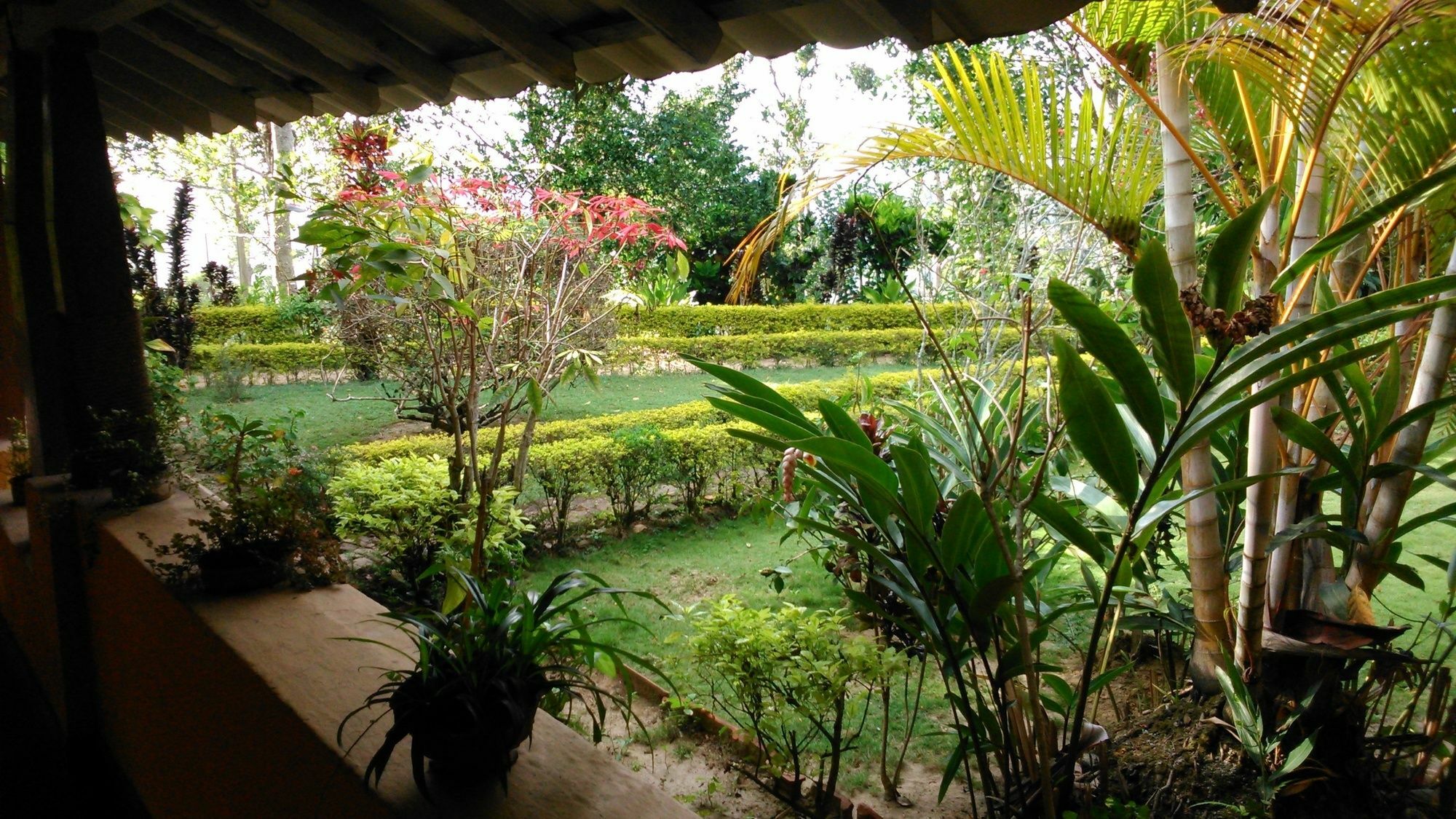 Sunnyside Holiday Bungalow إيلا المظهر الخارجي الصورة