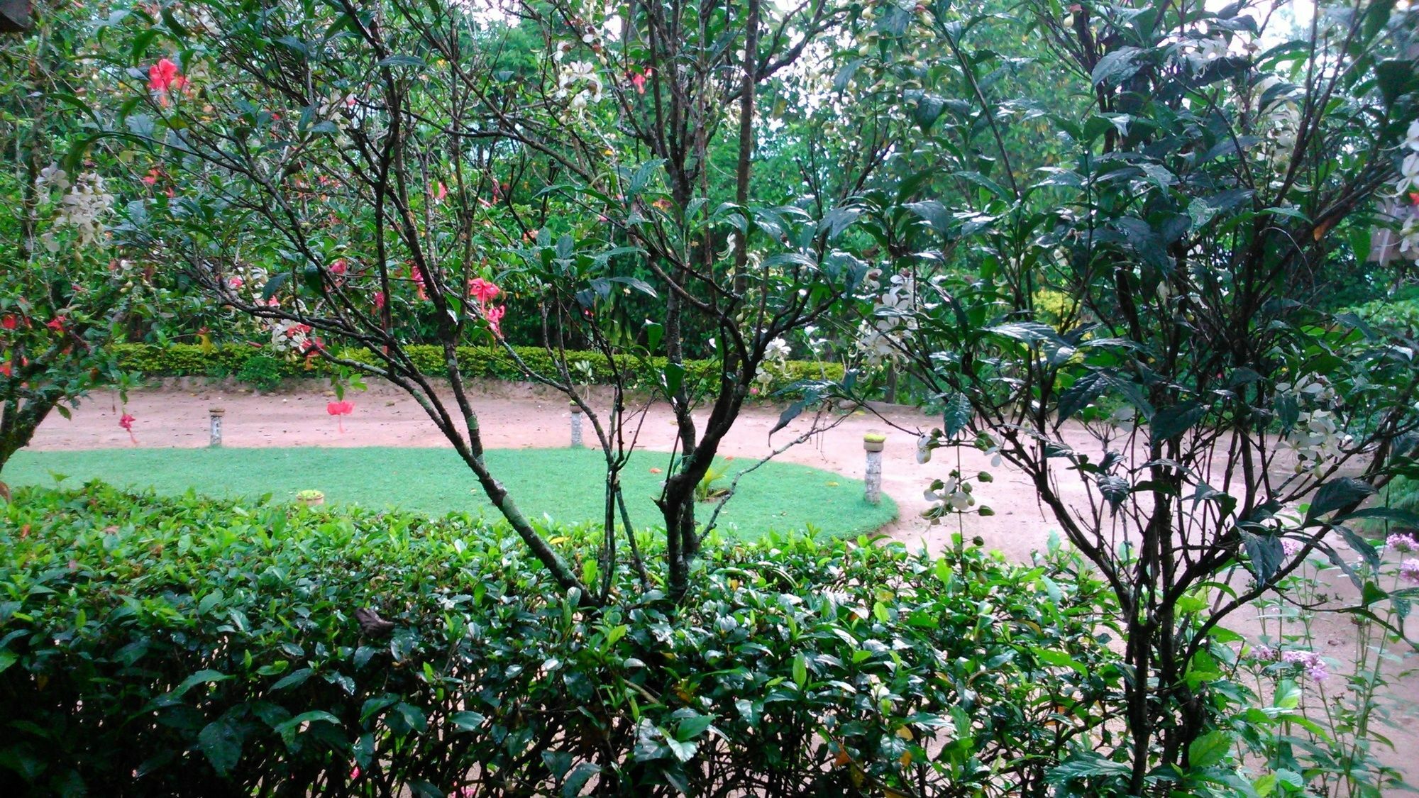 Sunnyside Holiday Bungalow إيلا المظهر الخارجي الصورة